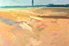 0660, Felder, 65x50 cm, Acryl / Hartfaserplatte