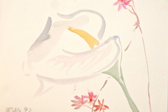 10096, Calla, 1992, Aquarell / Papier, 14x19 cm