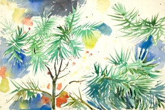 10030, Nadelbäume, 1980, Aquarell / Papier, 39x57,5 cm